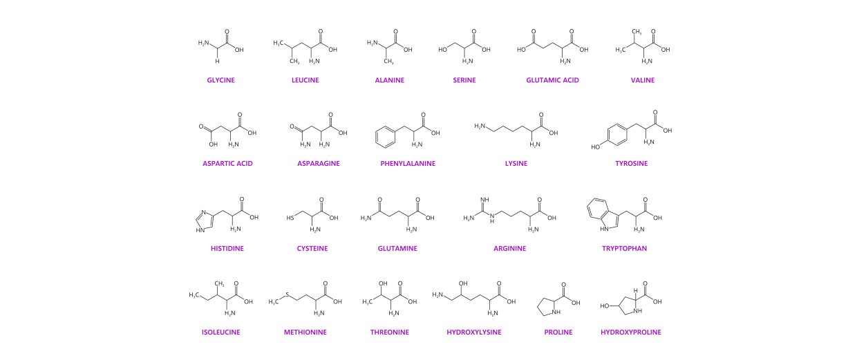 Aminosyrerne i hestefoderkilder, med fokus p lysin (som tit er den begrnsende), methionin og tauri