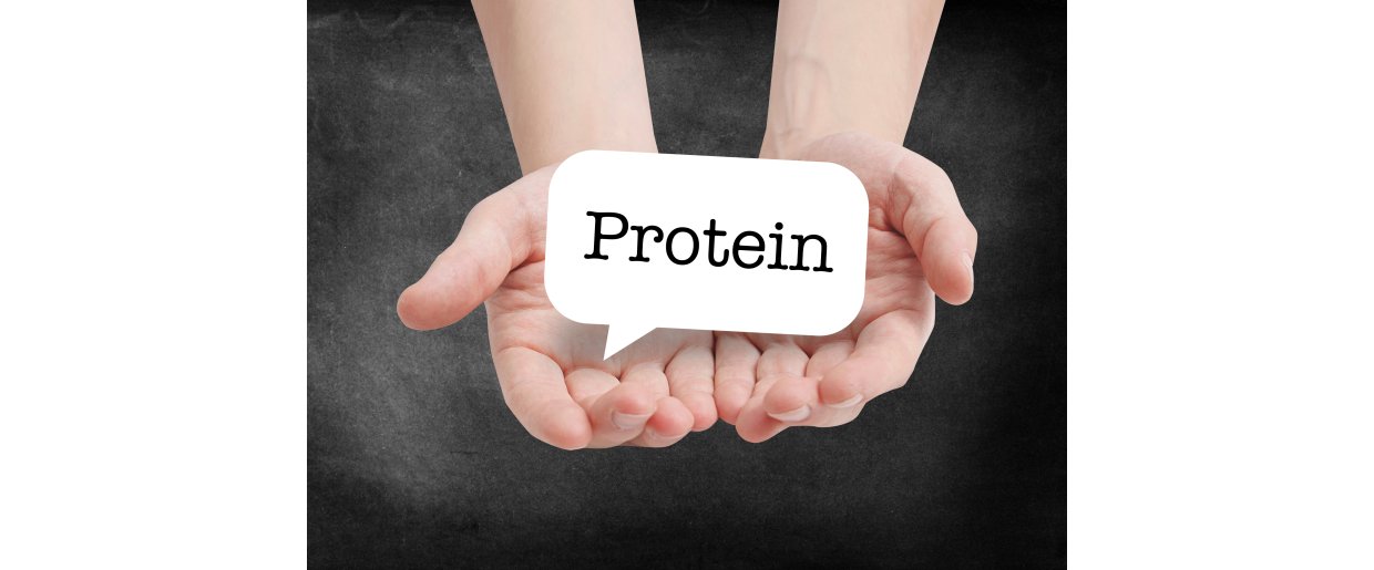 Proteinkilder til heste  hvad er forskellen?