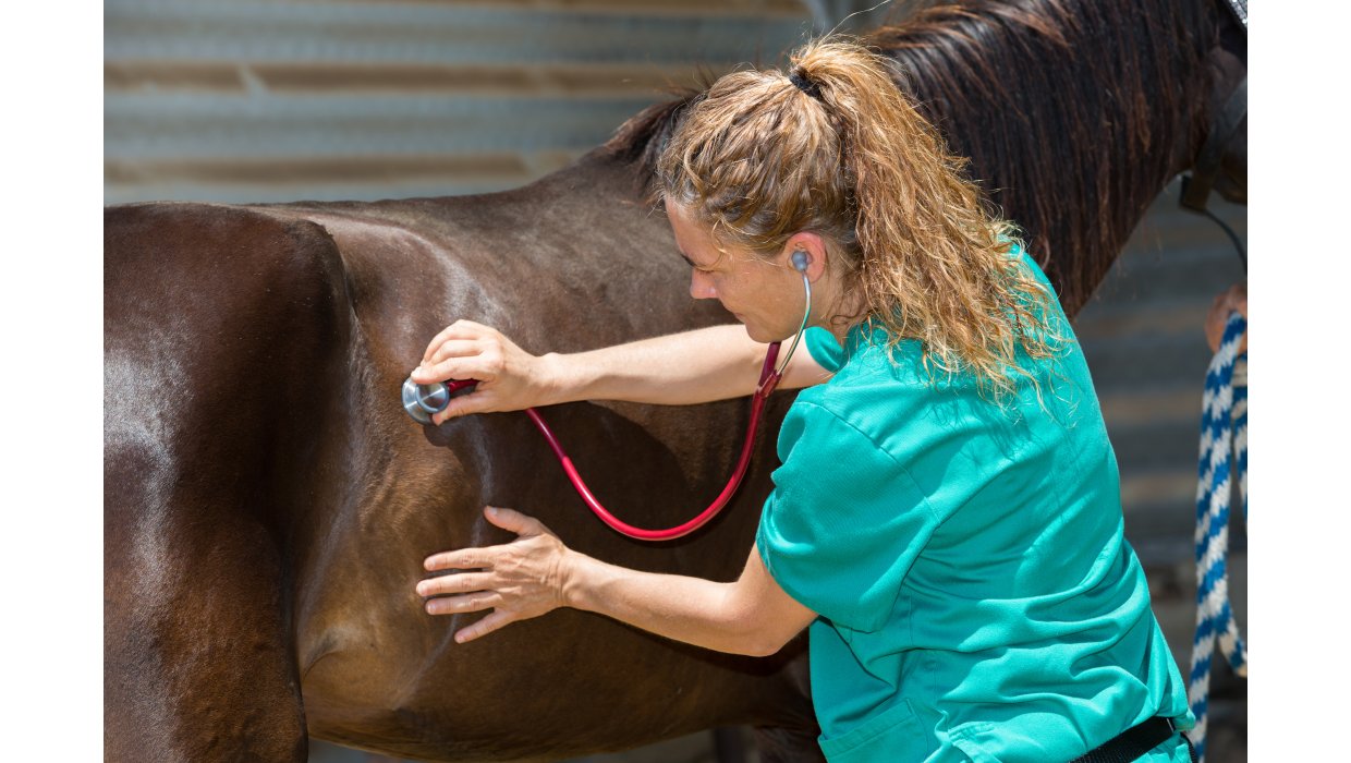 Hvorfor vender mavesrs-problemer tilbage?
