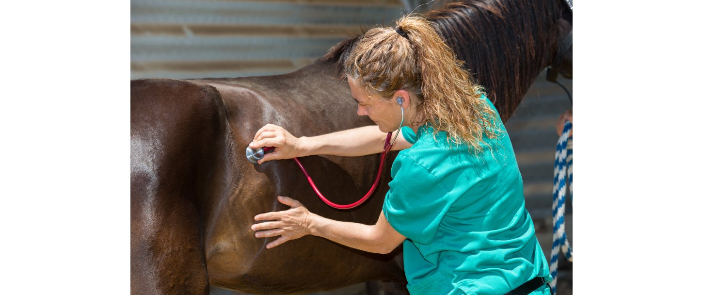 Hvorfor vender mavesrs-problemer tilbage?