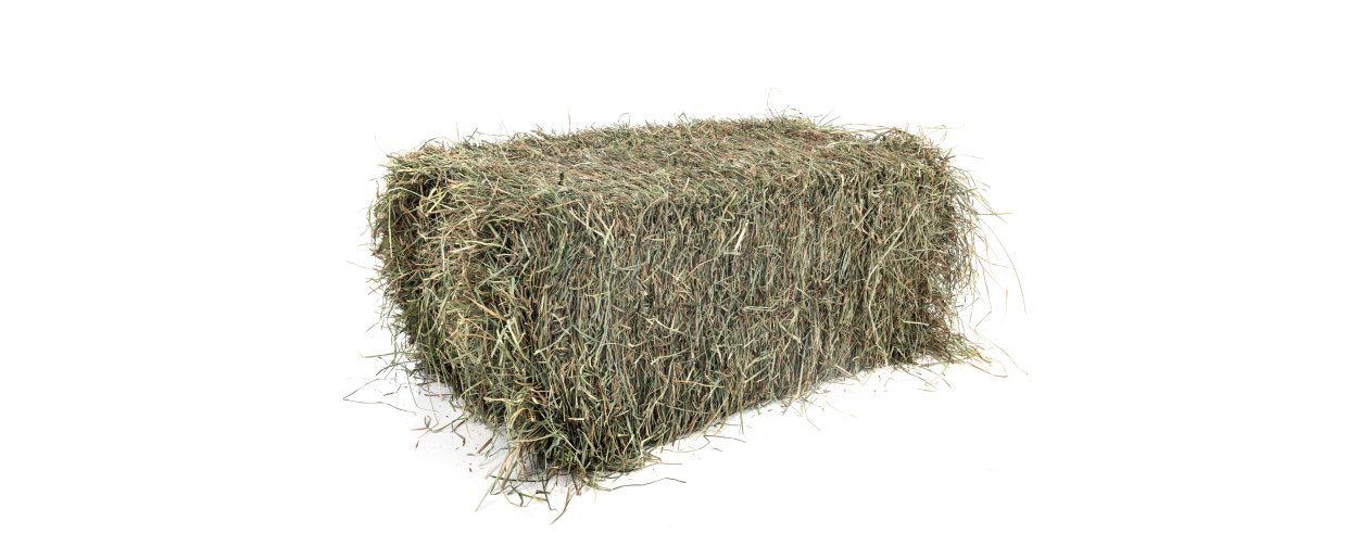 Calcium, fosfor og magnesium  Fundamentet for en sund, strk og prstationsvillig hest