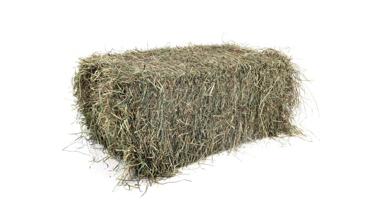 Calcium, fosfor og magnesium  Fundamentet for en sund, strk og prstationsvillig hest