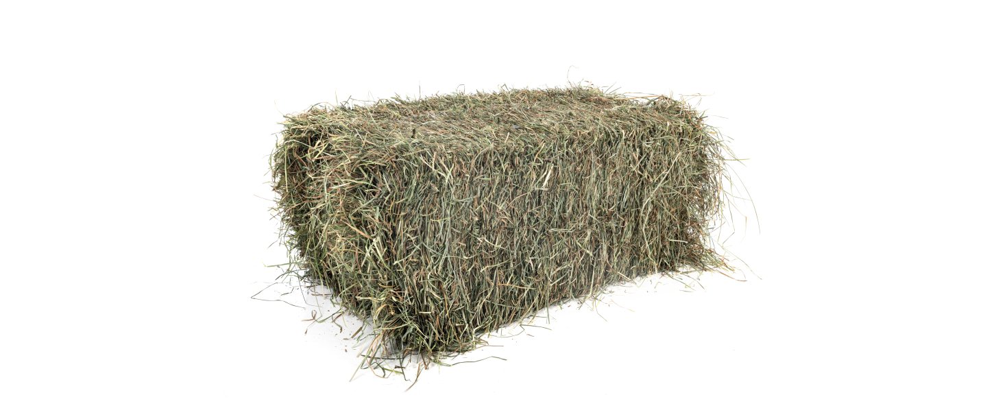 Calcium, fosfor og magnesium  Fundamentet for en sund, strk og prstationsvillig hest