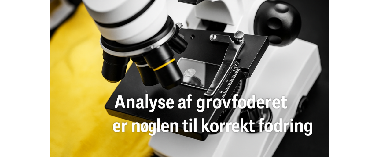 Mineraler i grovfoder – sådan bruger du analysen sammen med Regulator Complete