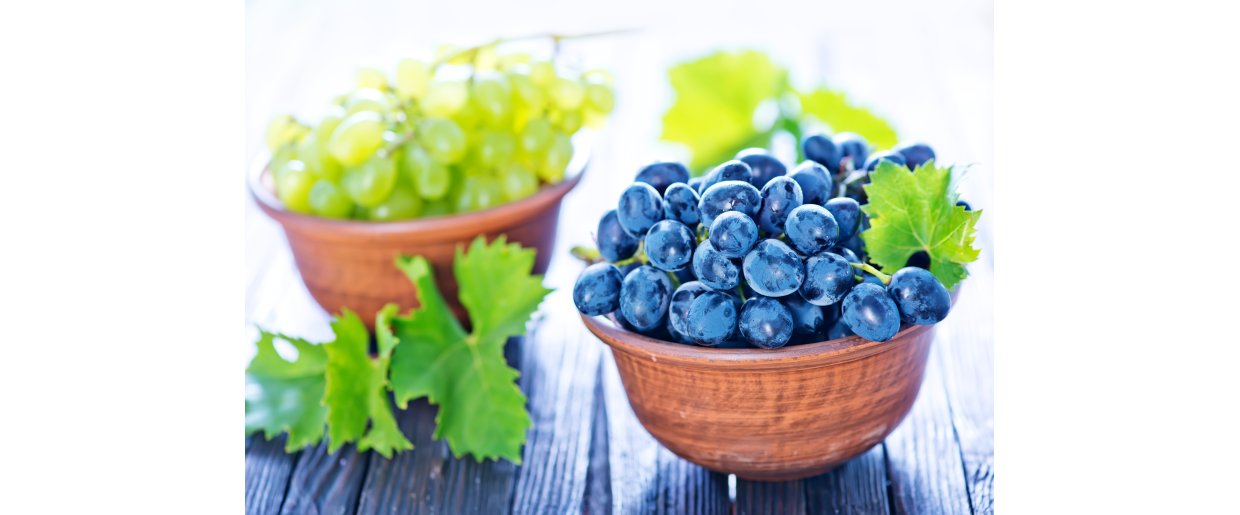 Resveratrol  spndende, men vr realistisk med forventningerne