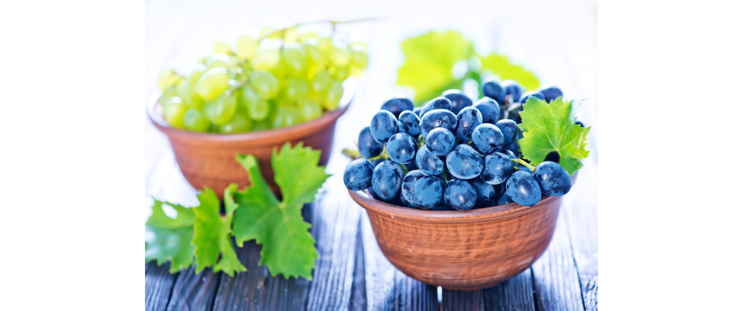 Resveratrol  spndende, men vr realistisk med forventningerne