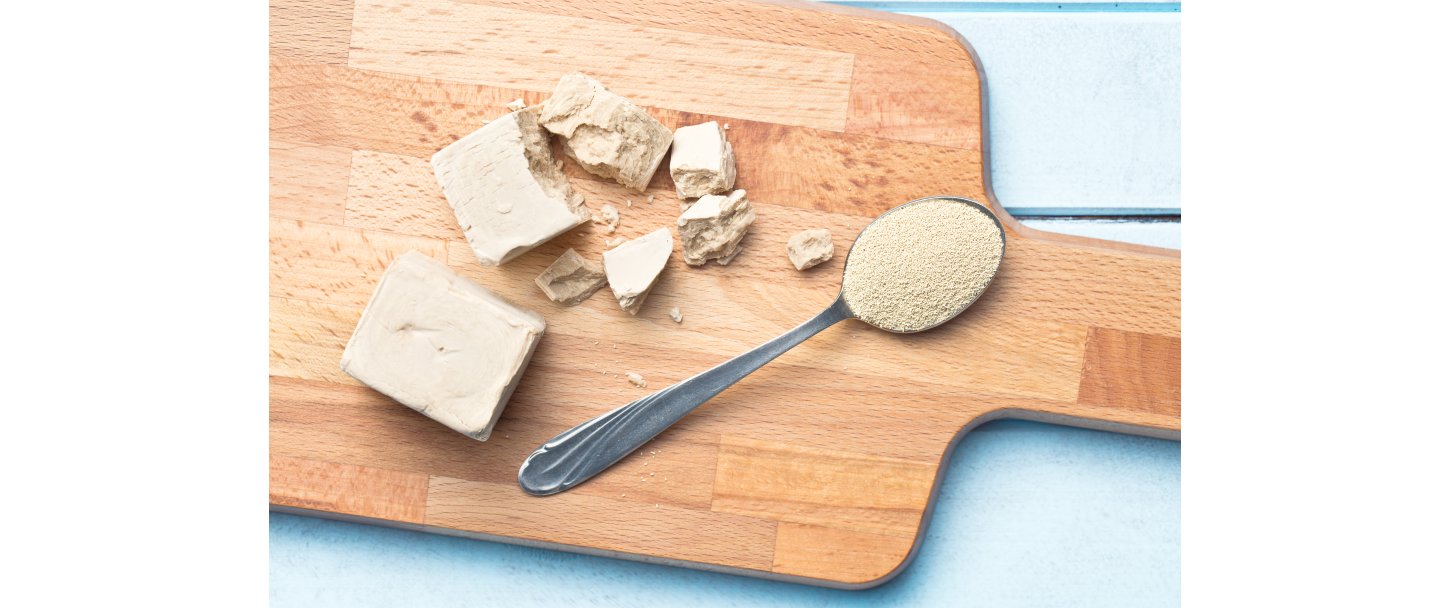 Gr i hestefoder  hvornr giver det mening?