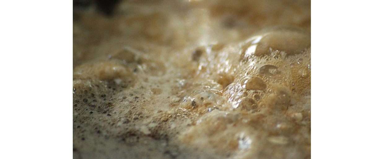 Hvad sker der nr hestefoder indeholder gr?