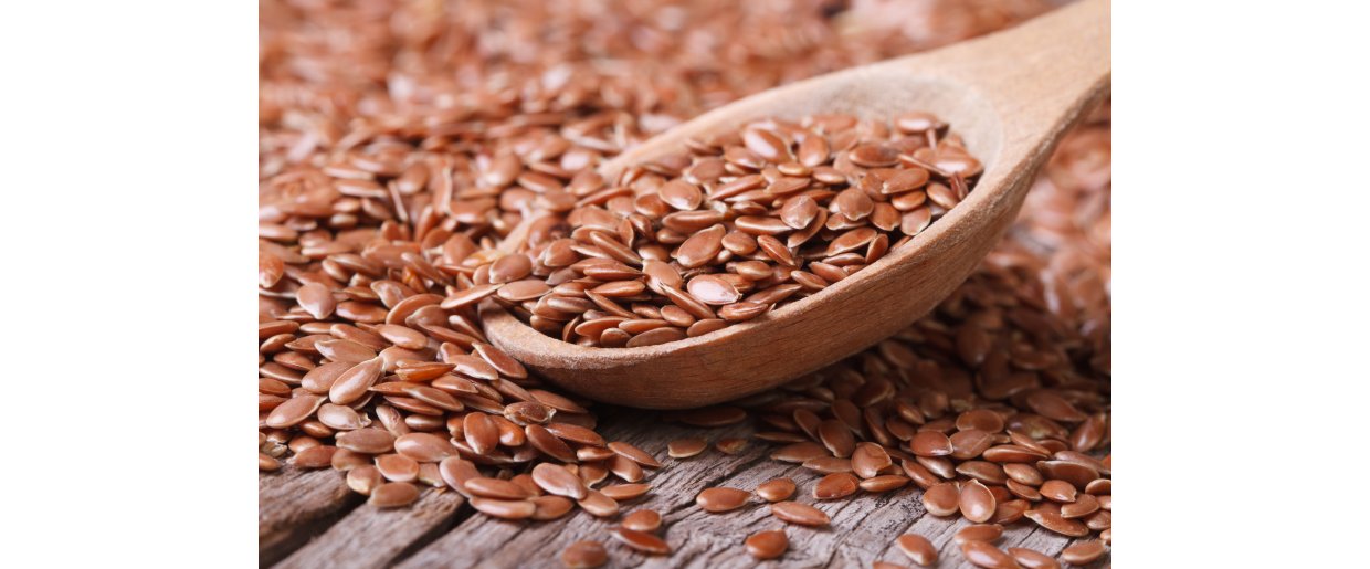 Oplselige fibre  hemmeligheden bag sundhed, energi og trivsel hos din hest