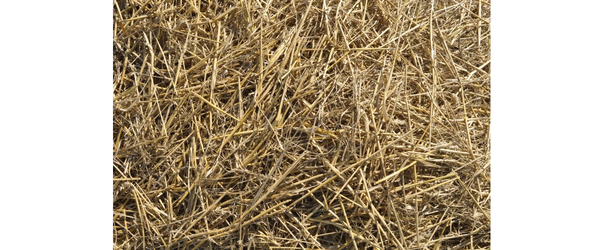  NDF & ADF  Hvor grov og hvor fordjelig er dit grovfoder egentlig?