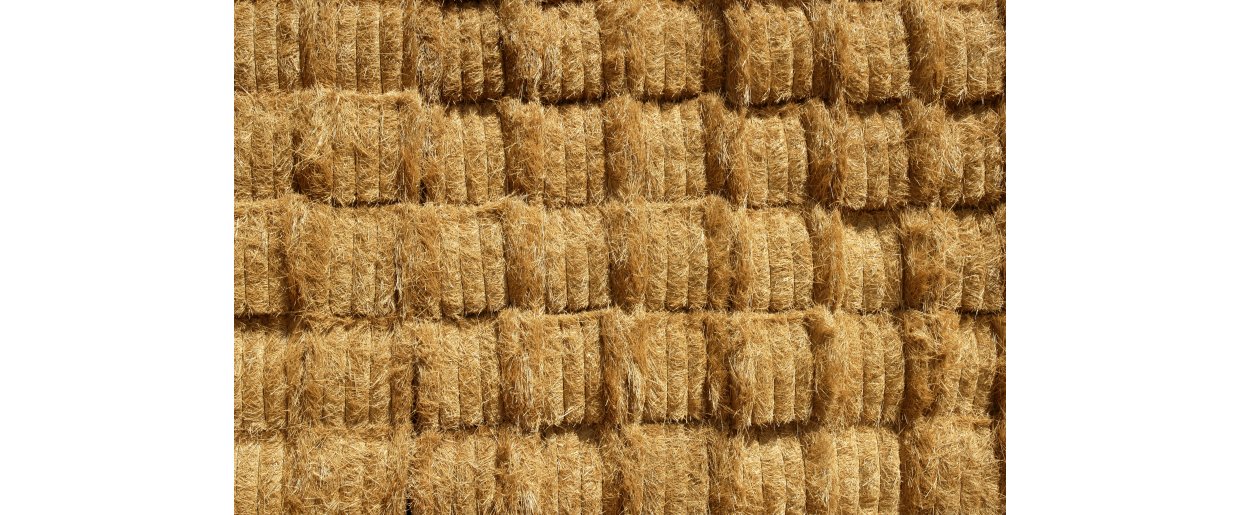 Nanna Luthersson siger: 30 %. Forskningen siger op til 50 %  hvad betyder det for din hest?