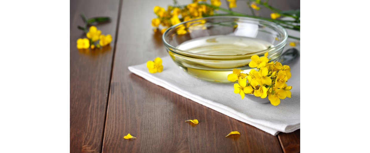 Kan rapsolie erstatte algeolie hos heste med eksem