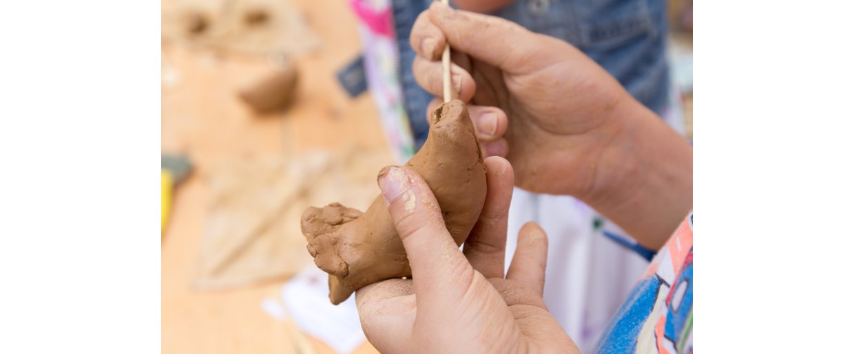 Remodellering og genopbygning  sdan sttter du hestens krop gennem fodring