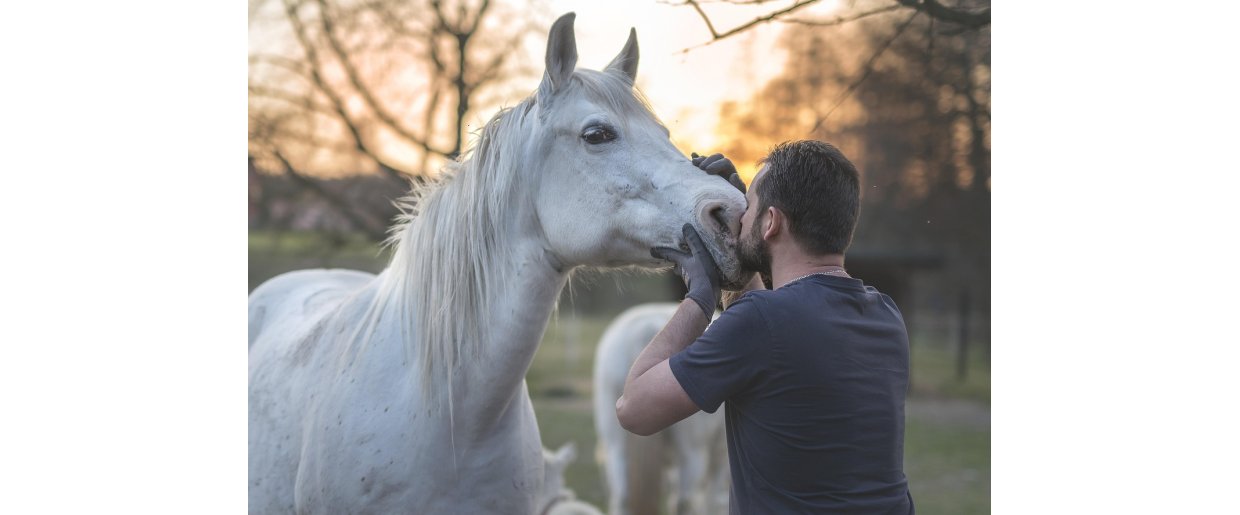 Muk, hud og fodring  nr milj, nring og hudens barriere spiller sammen