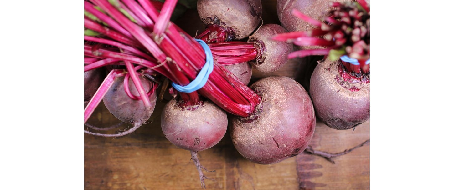 Myter & erfaringer: blecidereddike, rdbede og Biosa til metabolisk udfordrede heste