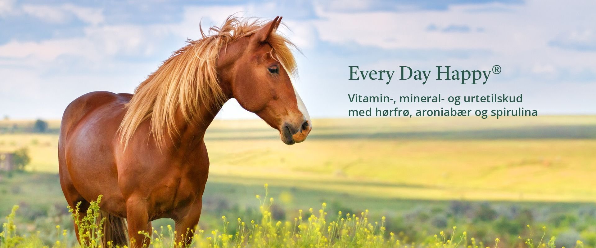 Banner for Happy Every Day - Vitamin-, Mineral- og urtetilskud med høfrø, arioniabær spirulina