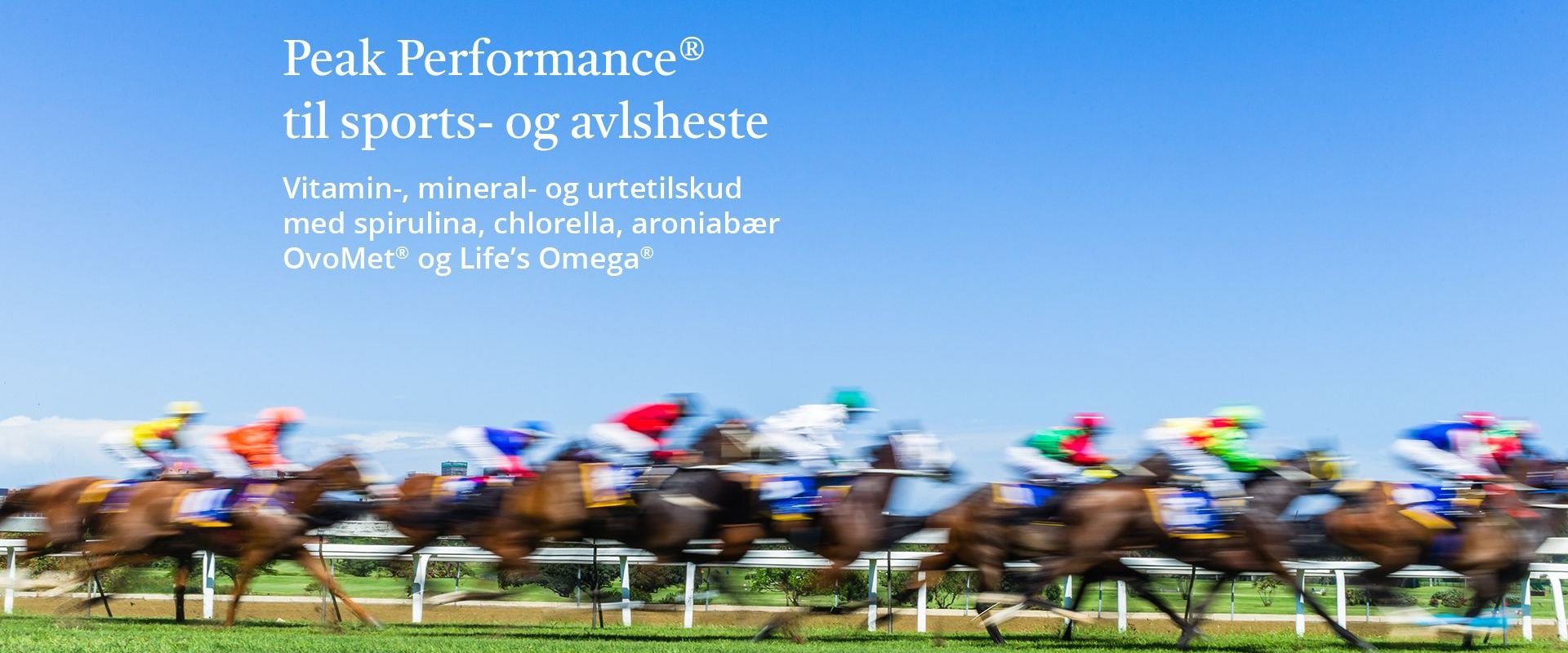 Banner for Peak Performance til sports- & avlsheste