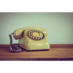 Personlig fodersparring  telefonkonsultation